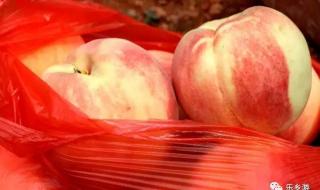 中秋红蜜桃几月熟 蜜桃成熟时3之蜜桃仙子